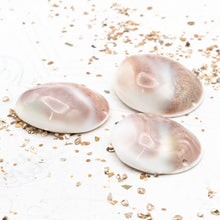 Load image into Gallery viewer, Shiva Shell Focal Bead
