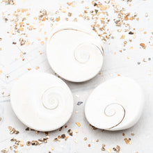 Load image into Gallery viewer, Shiva Shell Focal Bead
