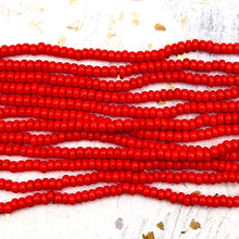 Load image into Gallery viewer, 8/0 Crazy Coral Seed Bead Hank
