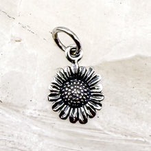 Load image into Gallery viewer, Mixed Metal Charms
