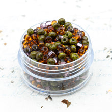 Load image into Gallery viewer, 6/0 Dreaming of Autumn Mixed Czech Seed Bead Jar
