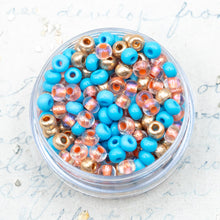 Load image into Gallery viewer, 6/0 Summer Skies Mixed Czech Seed Bead Jar

