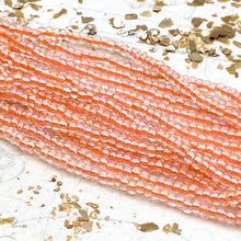Load image into Gallery viewer, 8/0 Coral Seed Bead Hank
