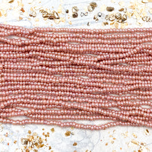Load image into Gallery viewer, 10/0 Gorgeous &amp; Glowing Seed Bead Hank

