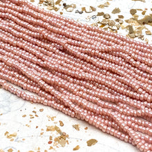 Load image into Gallery viewer, 10/0 Gorgeous &amp; Glowing Seed Bead Hank
