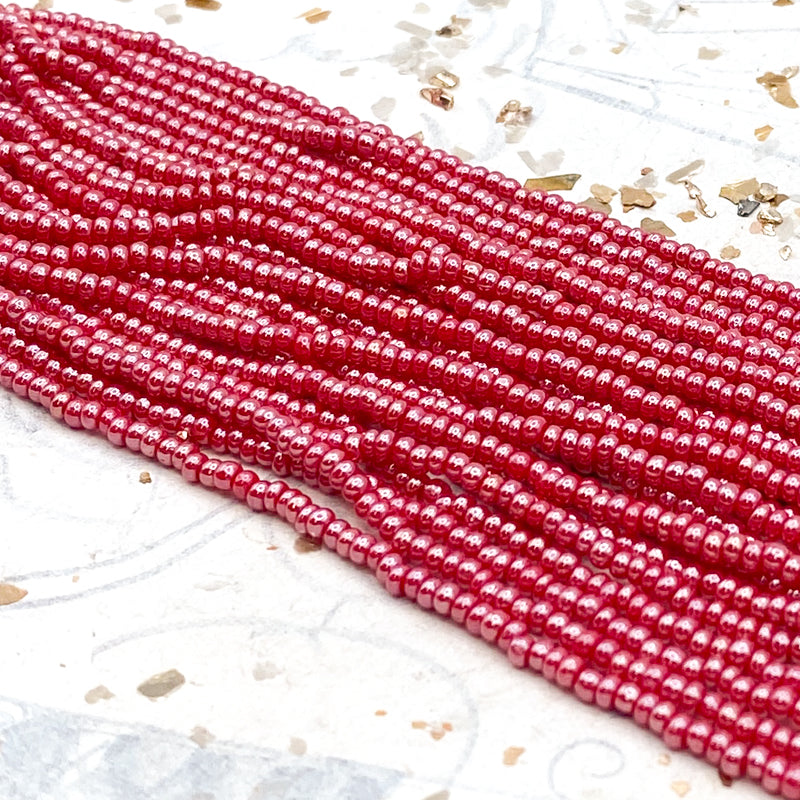 10/0 Stop Right There Seed Bead Hank