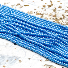 Load image into Gallery viewer, 10/0 A Quiet Escape Seed Bead Hank
