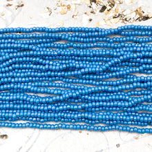 Load image into Gallery viewer, 10/0 Bold &amp; Blue Seed Bead Hank
