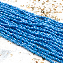 Load image into Gallery viewer, 10/0 Bold &amp; Blue Seed Bead Hank
