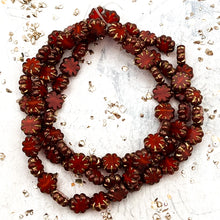 Load image into Gallery viewer, Pre-Order 9mm Cactus Flower Ruby Red with a Bronze and Gold Finish
