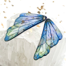 Load image into Gallery viewer, Cornflower Blue With Gold Foil Wings-2pcs
