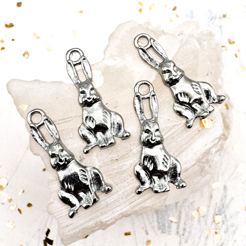 Hippity Hoppity Bunny Charm Set - 6pcs