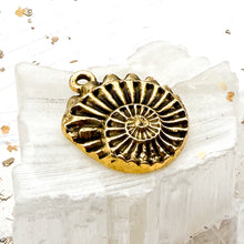 Load image into Gallery viewer, Seashell Pendant
