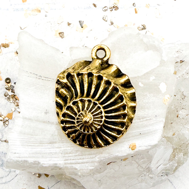Seashell Pendant