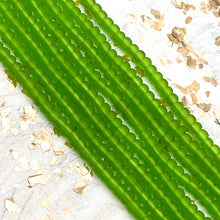 Load image into Gallery viewer, 6/0 Green Girl Seed Bead Hank
