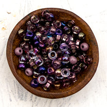 Load image into Gallery viewer, 6/0 Mixed Purple Passion Seed Bead Hank
