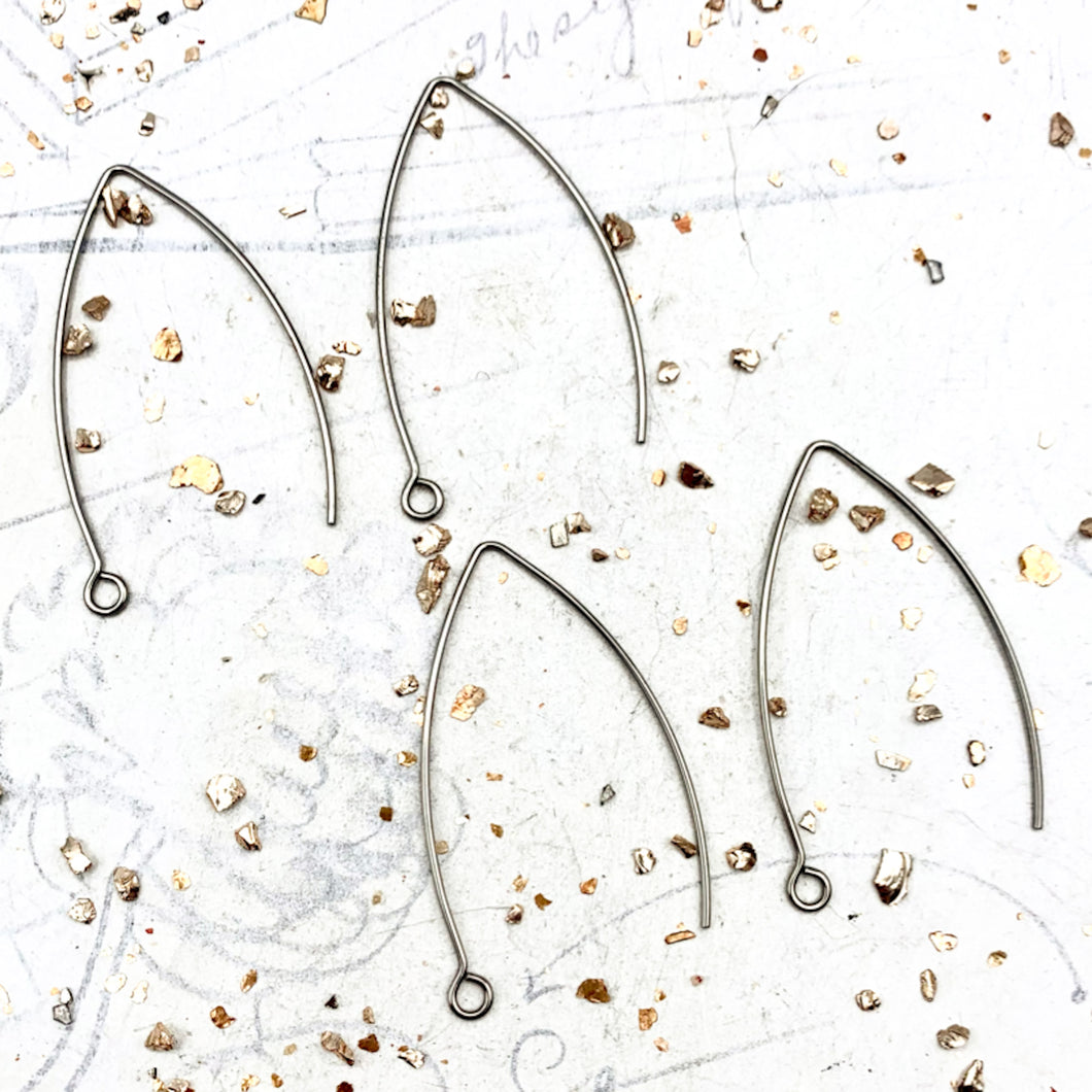Stainless Steel Ear Wire Hooks Pairs - 2 Pairs