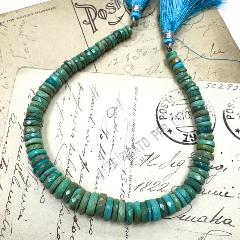 Graduated Turquoise Gemstone Bead Strand - Sleepy Hollow Road Trip Find