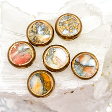 Load image into Gallery viewer, Round Spiny Oyster Coin Set - 6pcs
