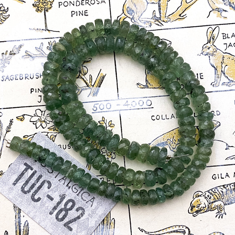 Green Kyanite Heishi Gemstone Bead Strand - Tucson Find