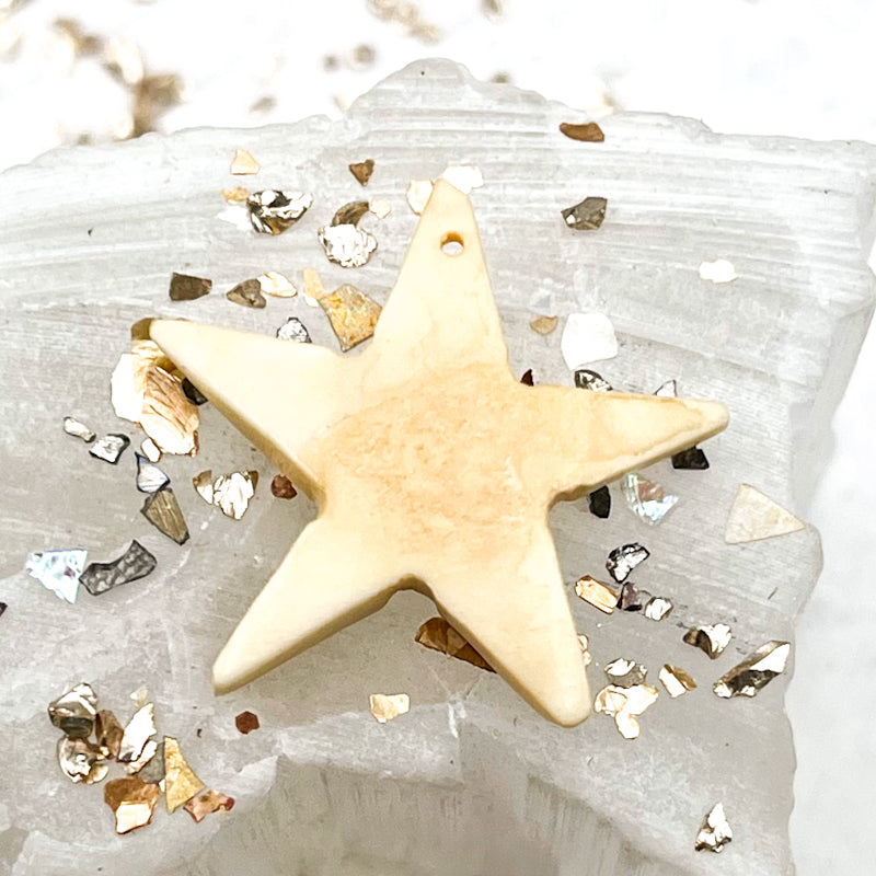 Natural Bone Star Bead