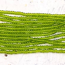 Load image into Gallery viewer, 8/0 Girlish Green Seed Bead Hank

