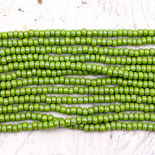 Load image into Gallery viewer, 8/0 Glaucous Green Seed Bead Hank
