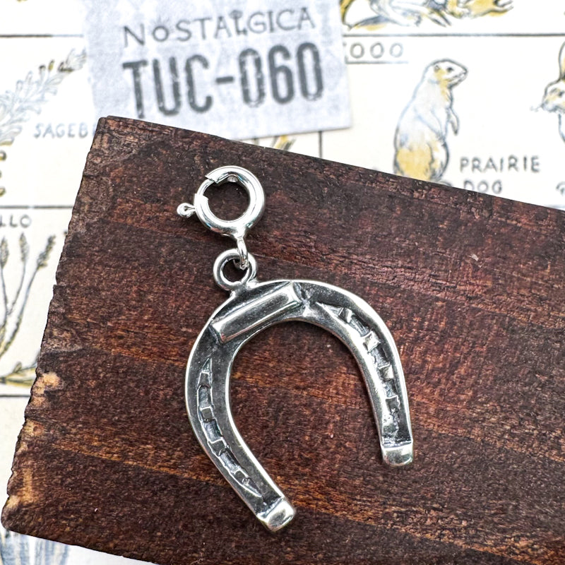 Horseshoe Charm - Tucson Find