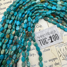 Load image into Gallery viewer, Turquoise Oval Coin Bead Strand - Tucson Find
