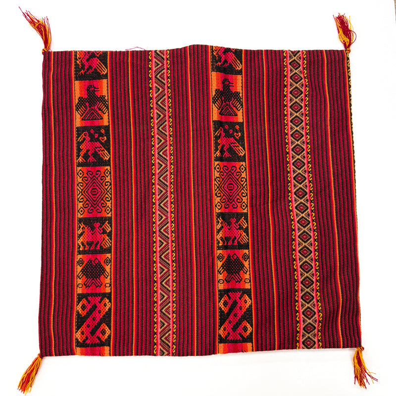 Diego's Decorative Pillowcase-J