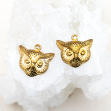 Load image into Gallery viewer, Owl Head Solid Brass Charm Pair
