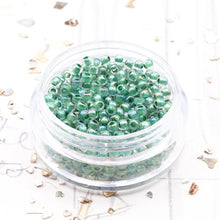 Load image into Gallery viewer, 11/0 Spruce Lined Crystal Rainbow Round Seed Beads
