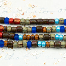 Load image into Gallery viewer, 6/0 Lakeside Mixed Seed Bead Strand
