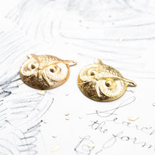 Load image into Gallery viewer, Owl Head Solid Brass Pair -No Holes
