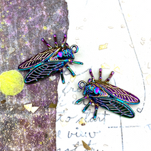 Load image into Gallery viewer, Rainbow Fly on the Wall Charm Pair
