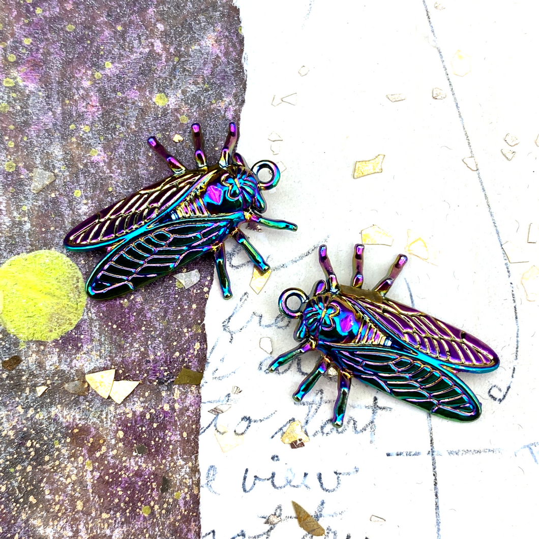 Rainbow Fly on the Wall Charm Pair