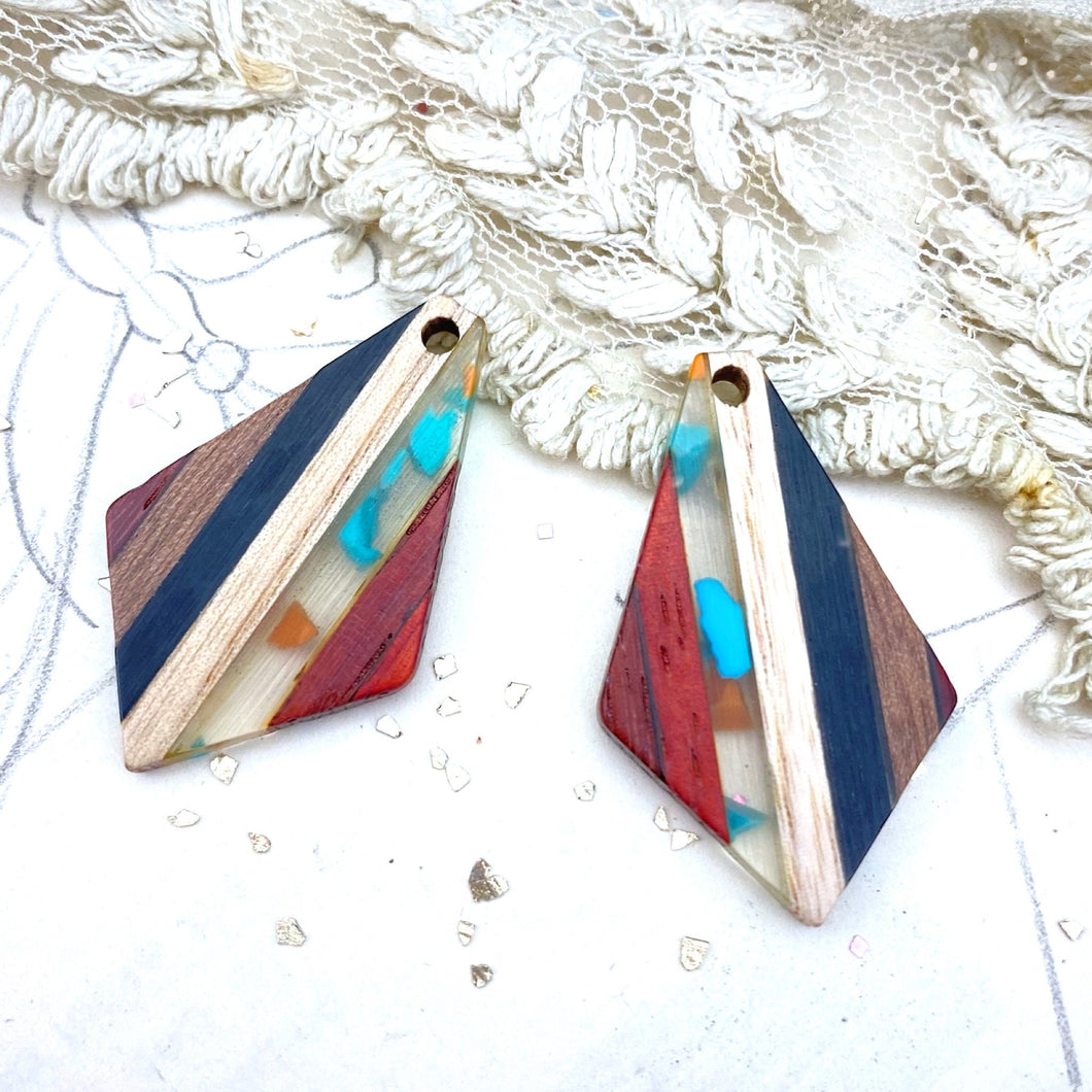 Stylish Resin and Wood Earring Pair